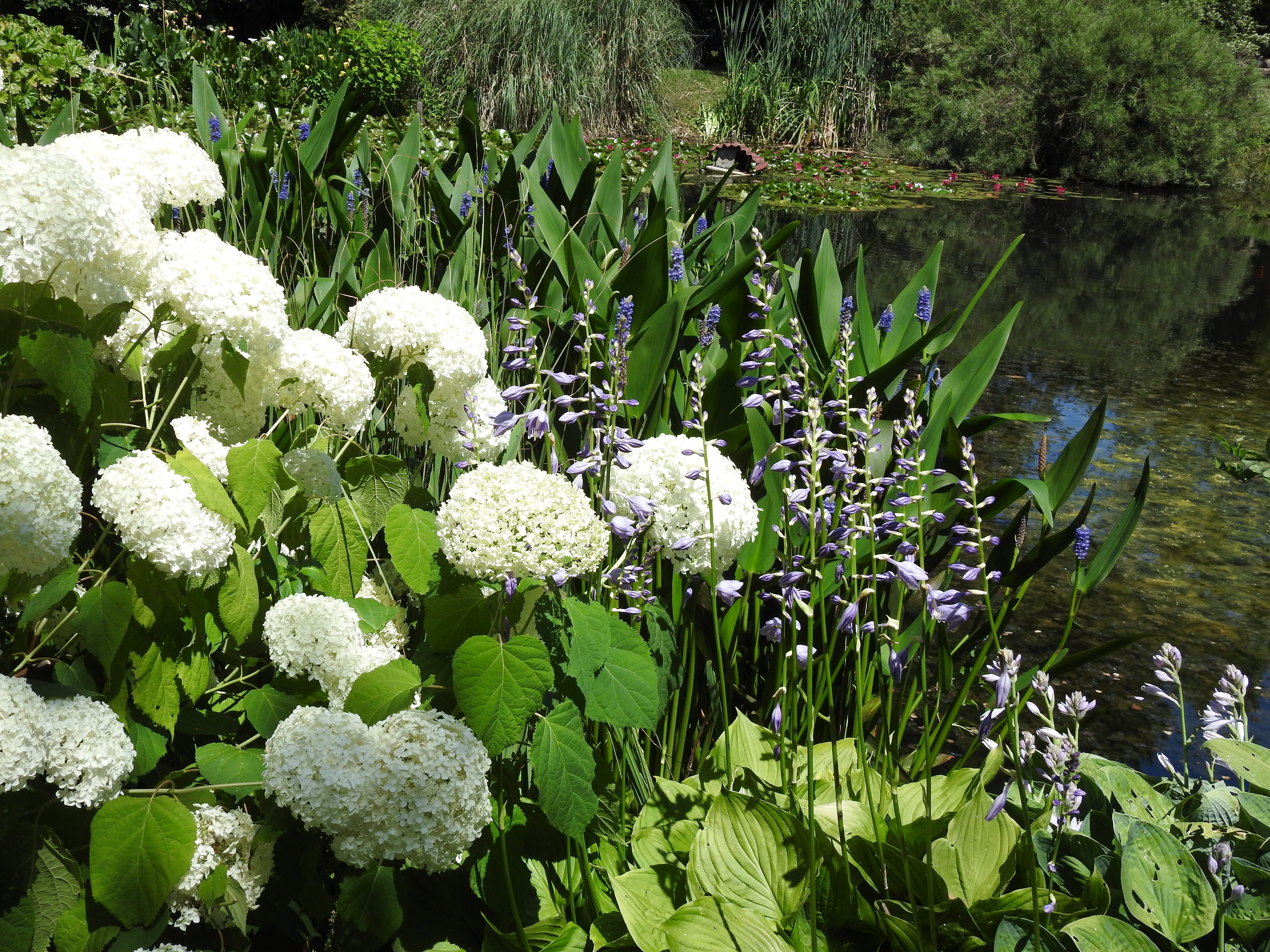 La Prairie Enchantée, Exireuil