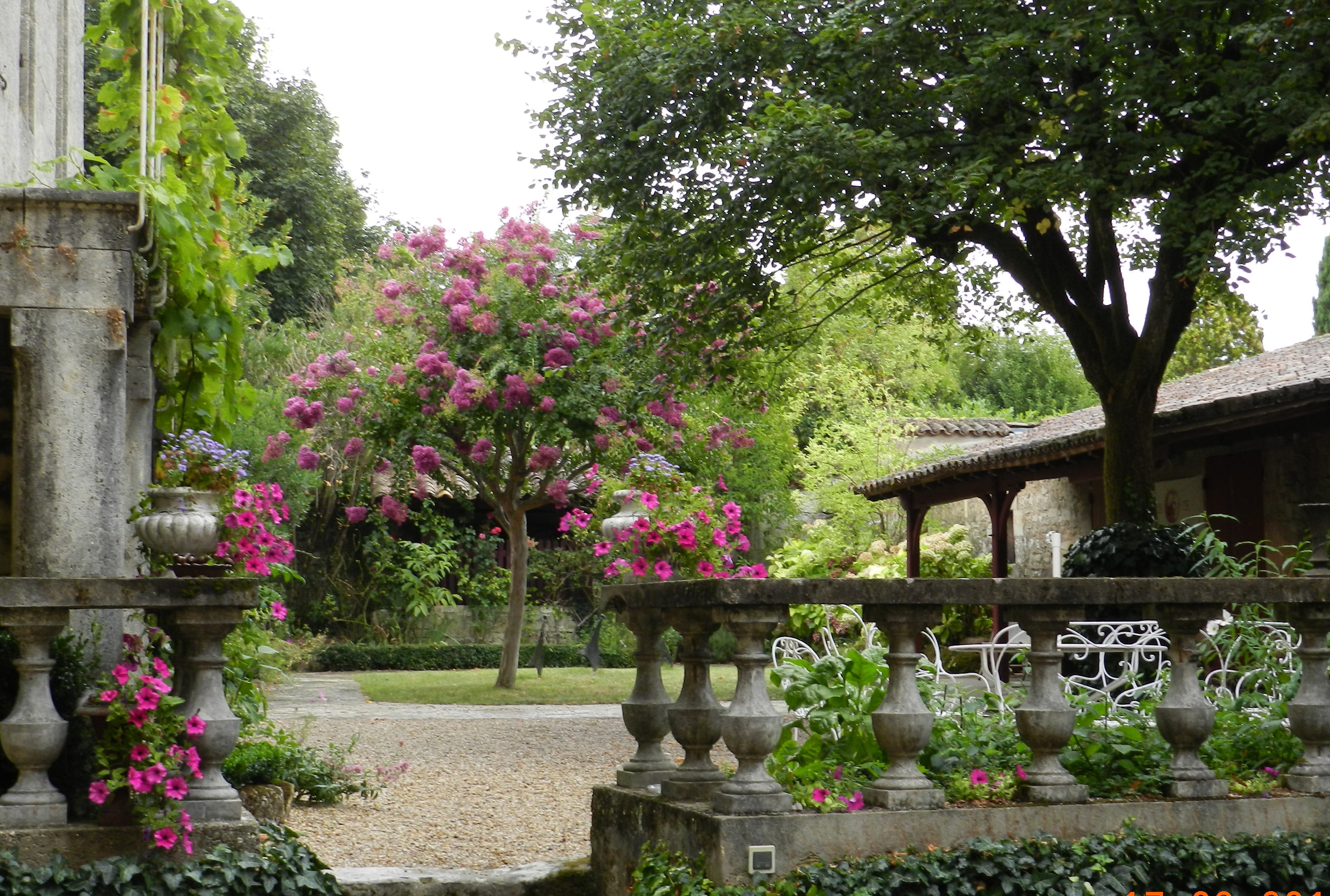 Château Guadet — photo 3