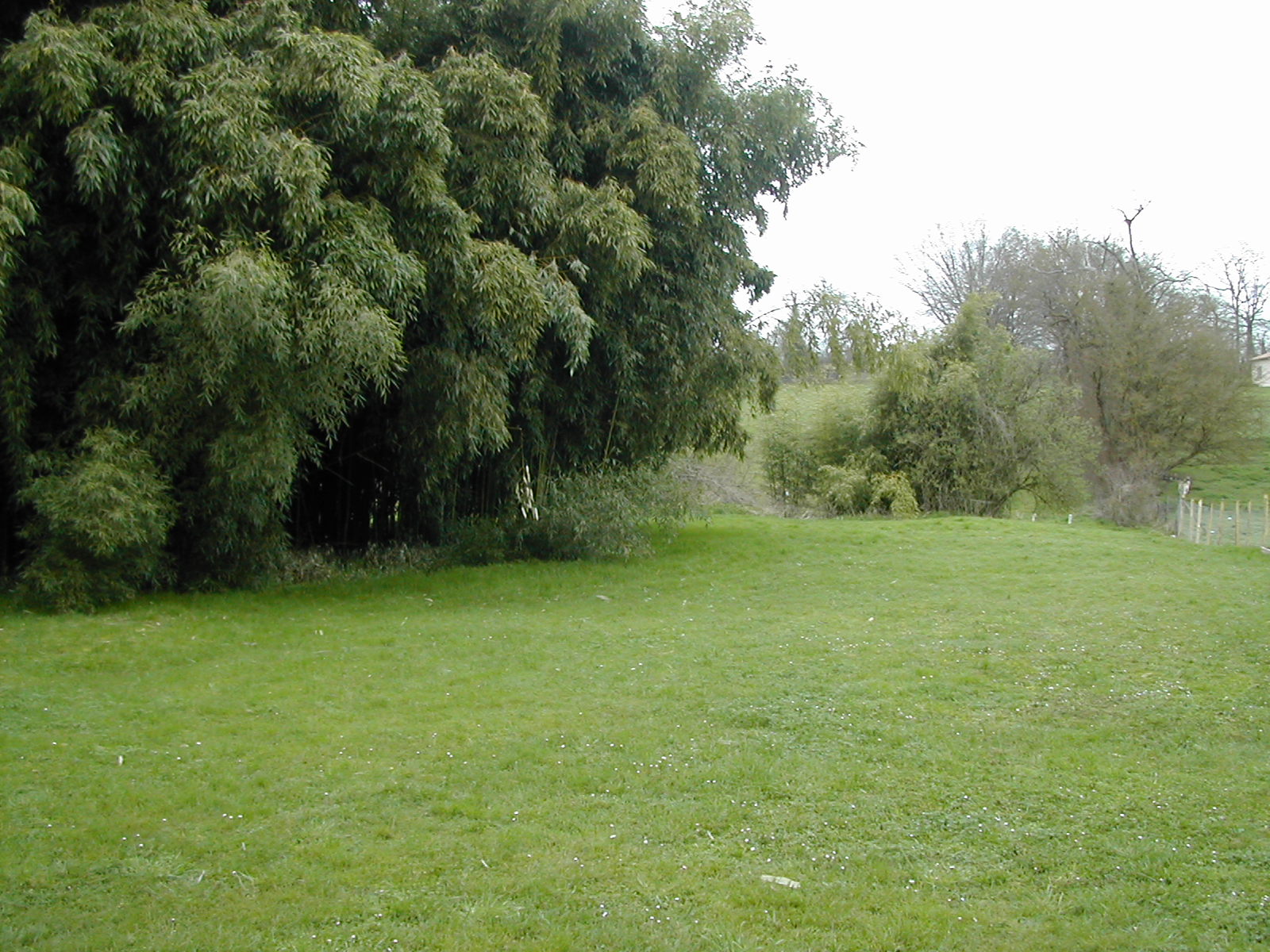 La Tour des Cavaliers, Payroux - photo 7