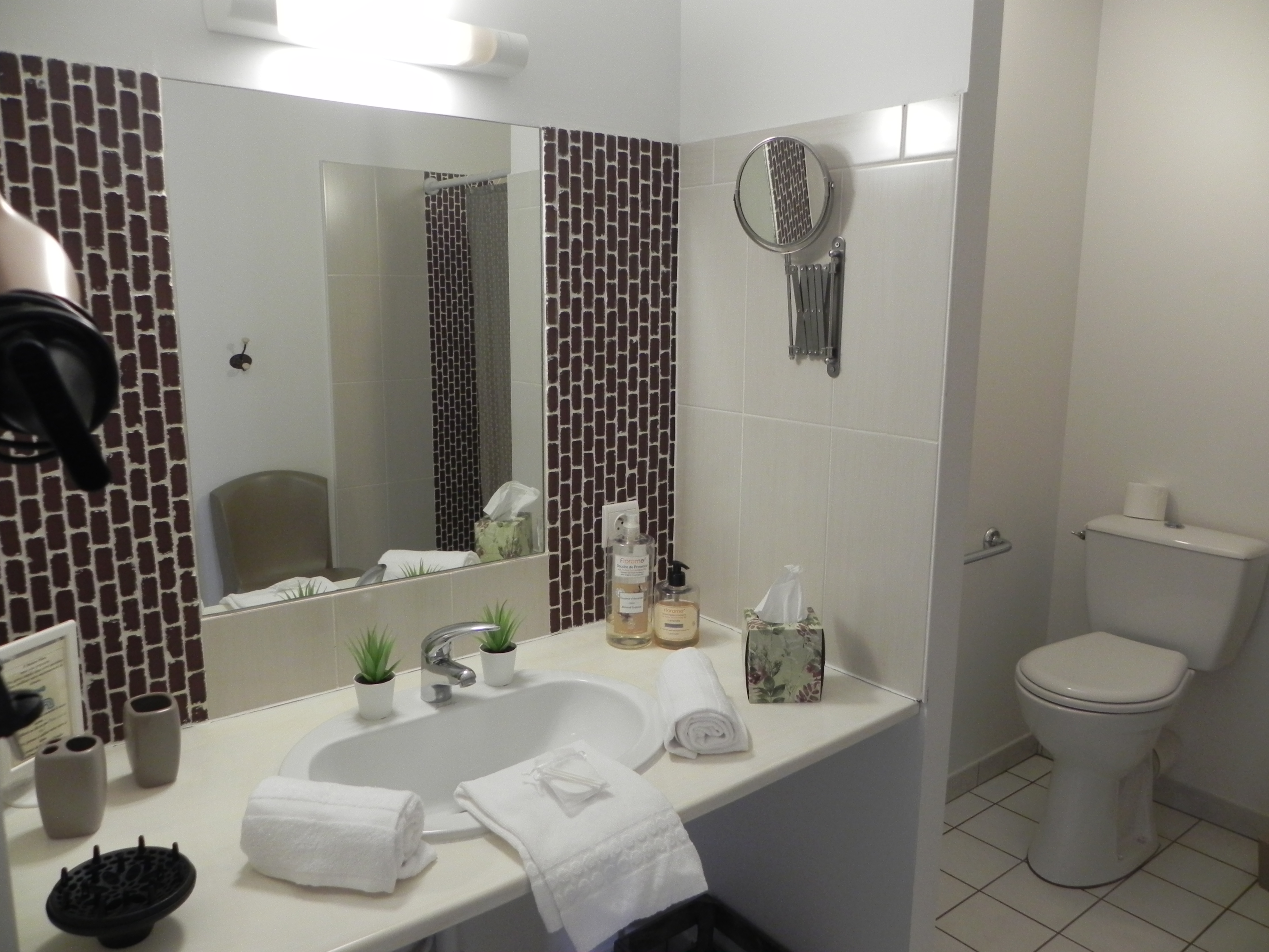 Domaine de Flore - Hebergement de groupes, Arçais - photo 16