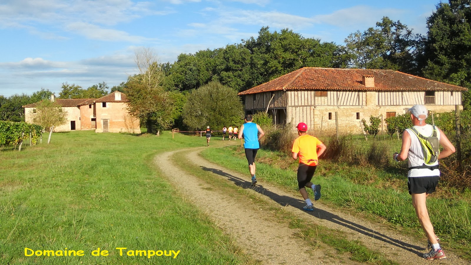 Semi-Marathon de l'Armagnac, Villeneuve-de-Marsan - photo 3