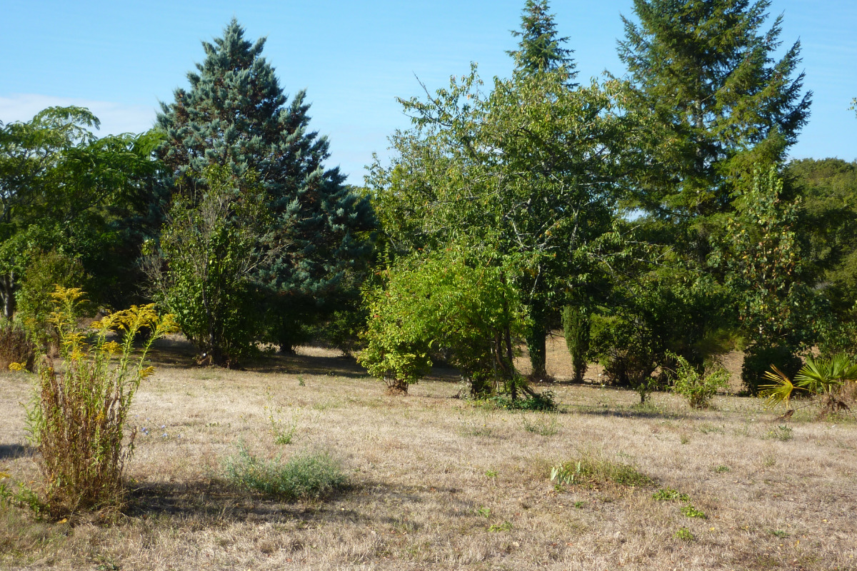 Gîte de la Relégie, Cubjac-Auvézère-Val d'Ans - photo 8