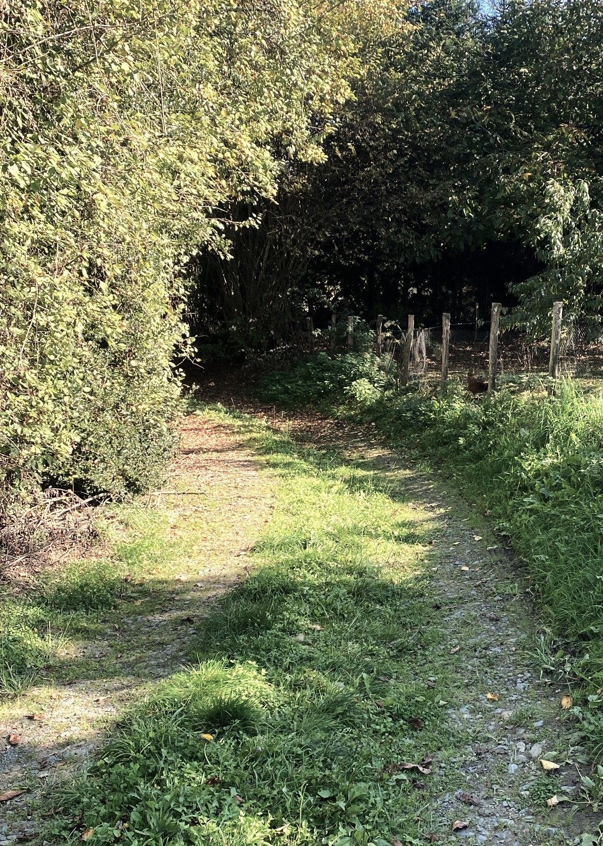 Boucle de Foucauld, Dussac