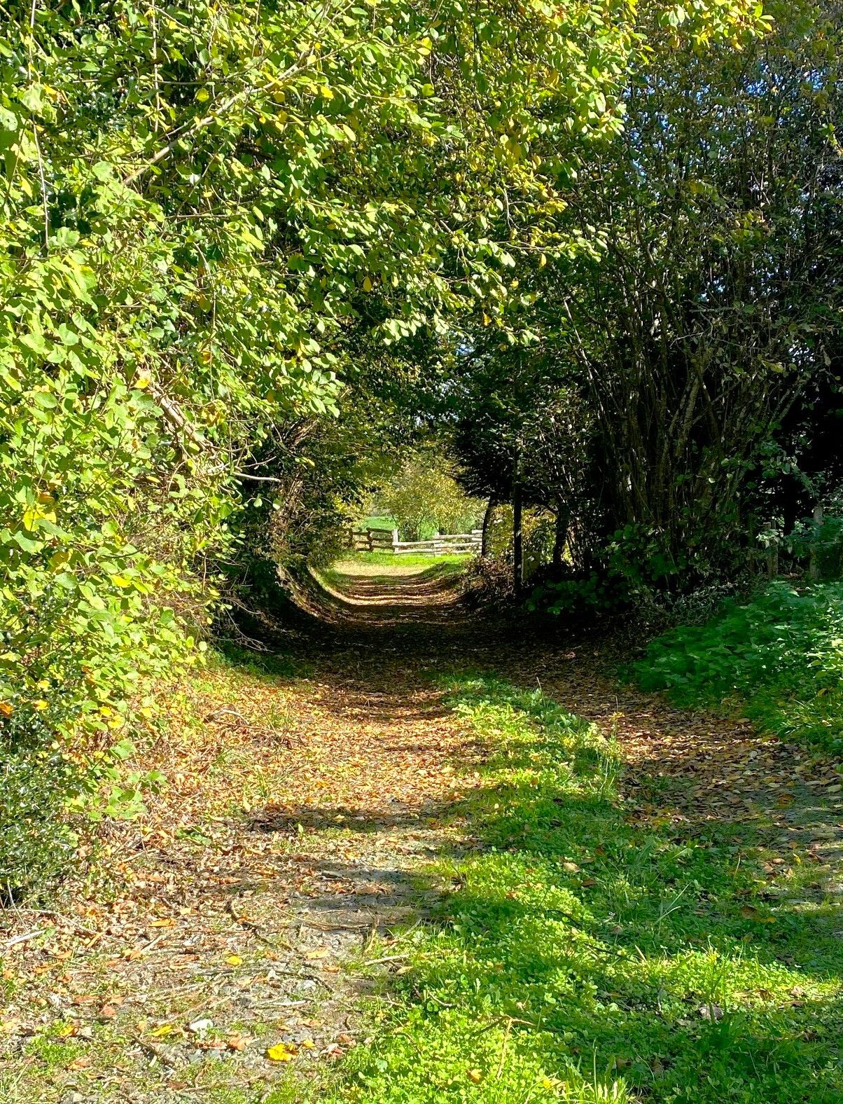 Boucle de Foucauld, Dussac - photo 3