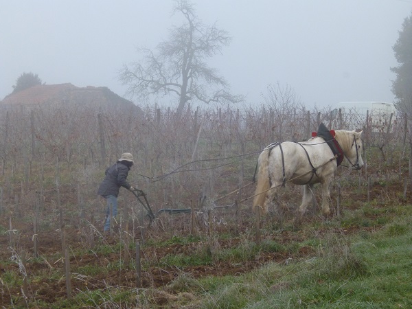 Domaine de la Voie Blanche - photo 3