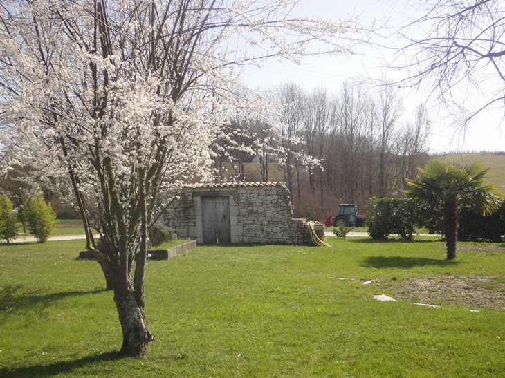 Domaine de Dame Bertrande - photo 3