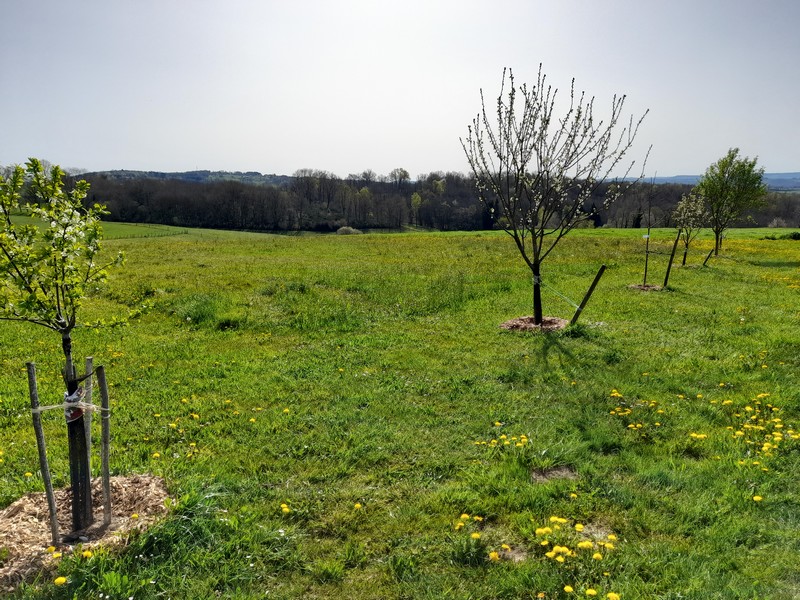 La Dame Blanche - photo 4