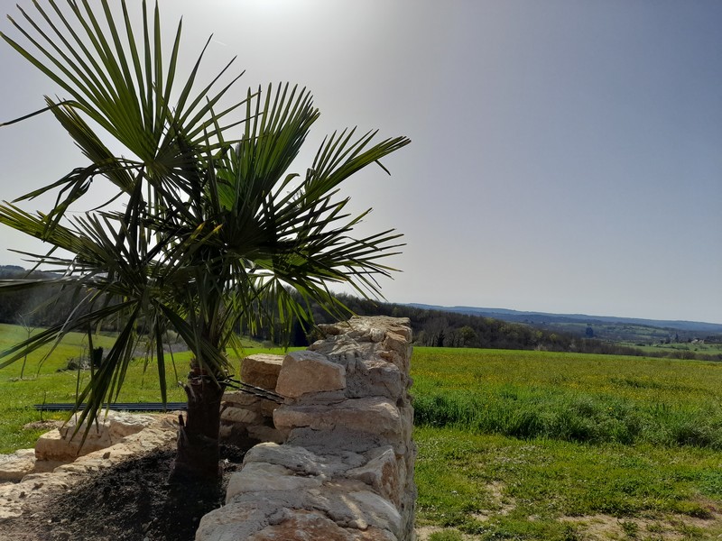 La Dame Blanche, Génis - photo 7