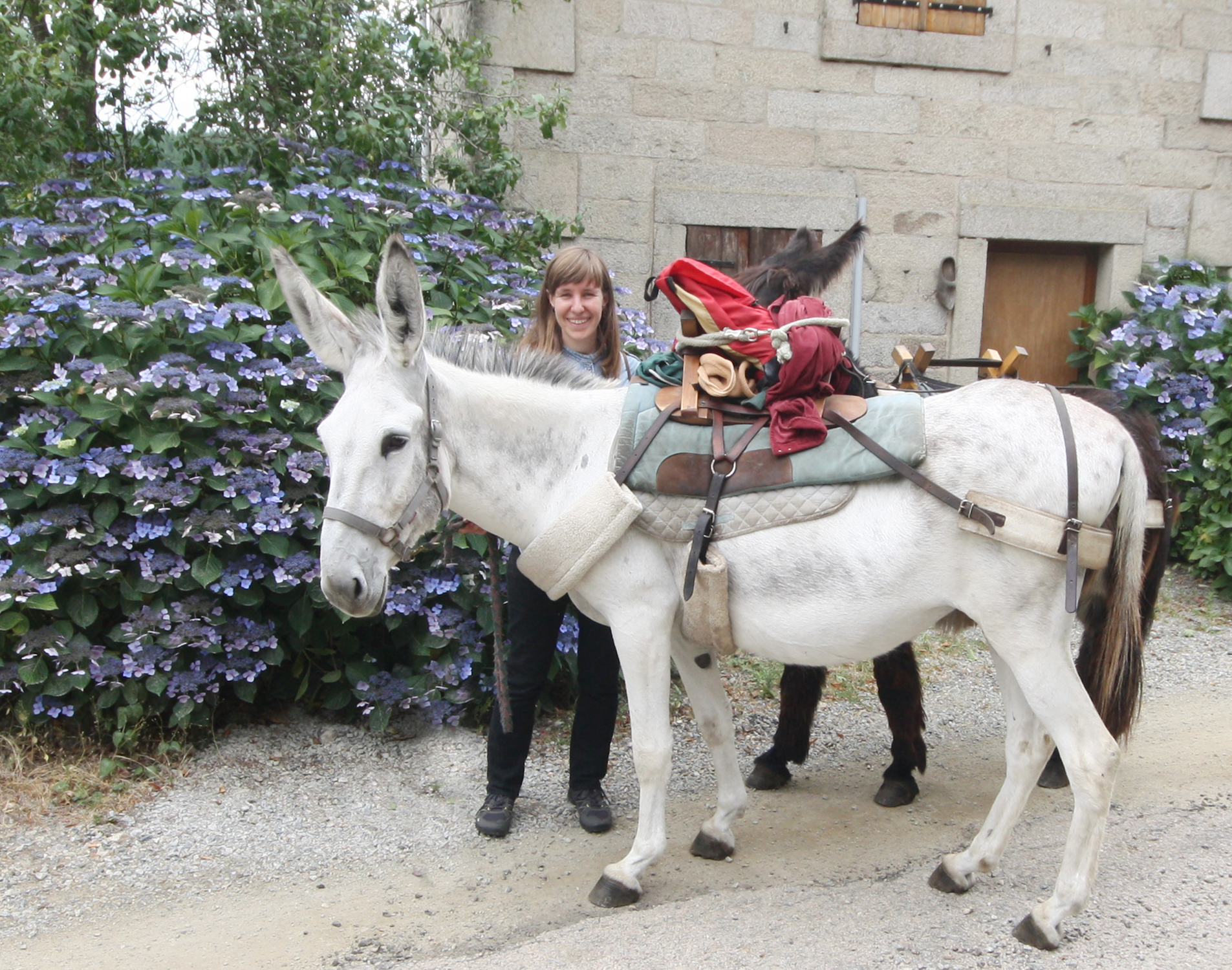 Ferme pédagogique Les Ânes de Vassivière, Peyrat-le-Château - photo 3