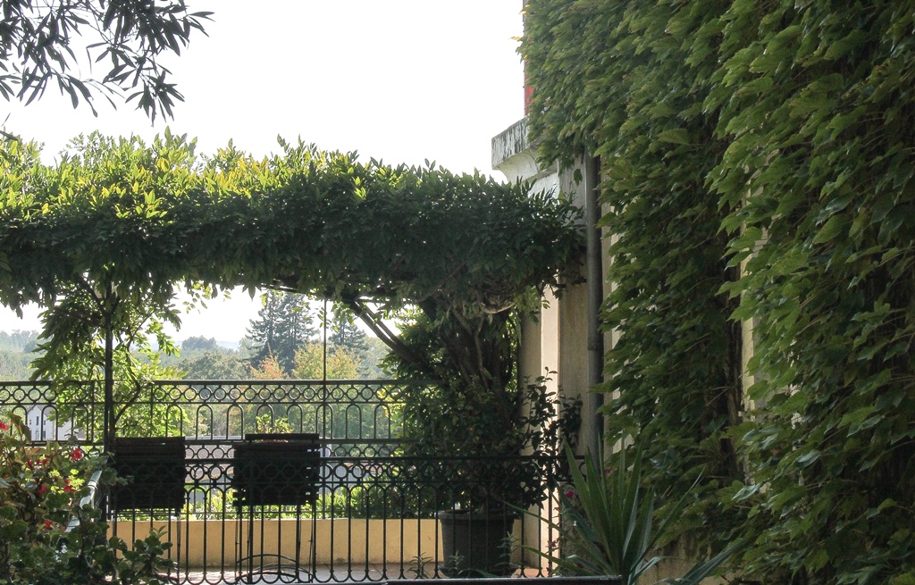 La Terrasse de la Grand Rue, Mugron - photo 2