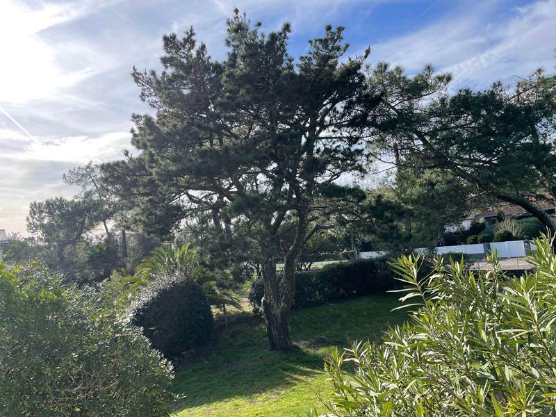 Maison Daugert, Capbreton - photo 10