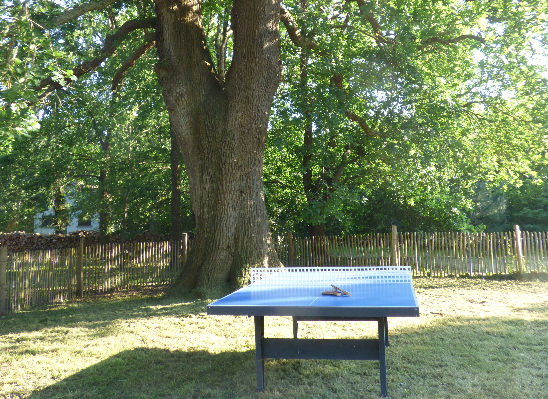 Grande maison entre lac et forêt, Gastes - photo 4