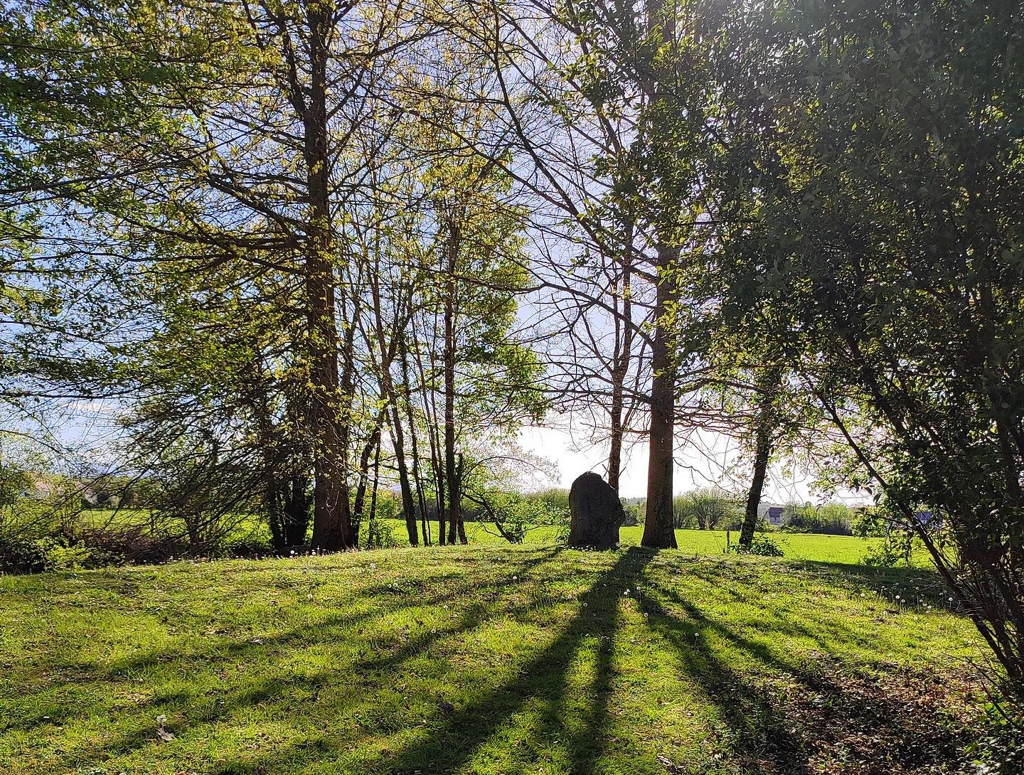 De couleurs et d'eau fraîche, Navarrenx - photo 9