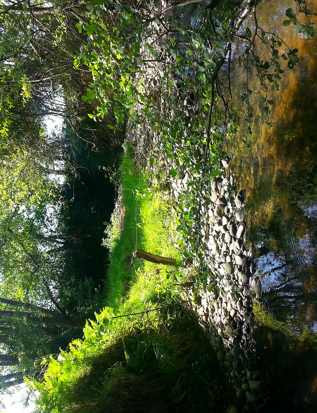 De couleurs et d'eau fraîche, Navarrenx - photo 8