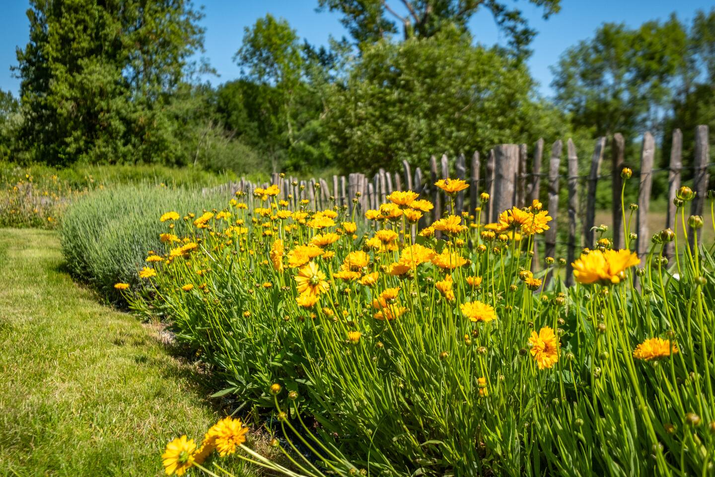 Gîte Le Pigeonnier de La Moulinasse - photo 2