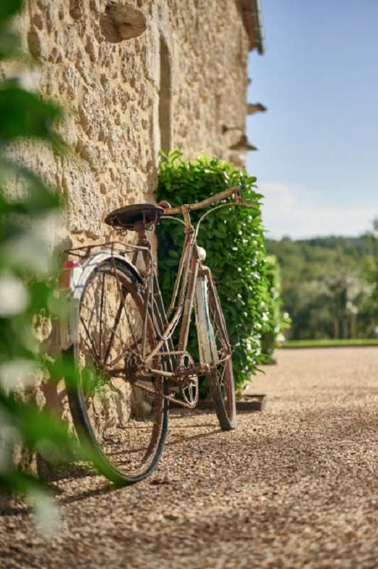 La Closerie Vitis Arbor, Massugas - photo 15