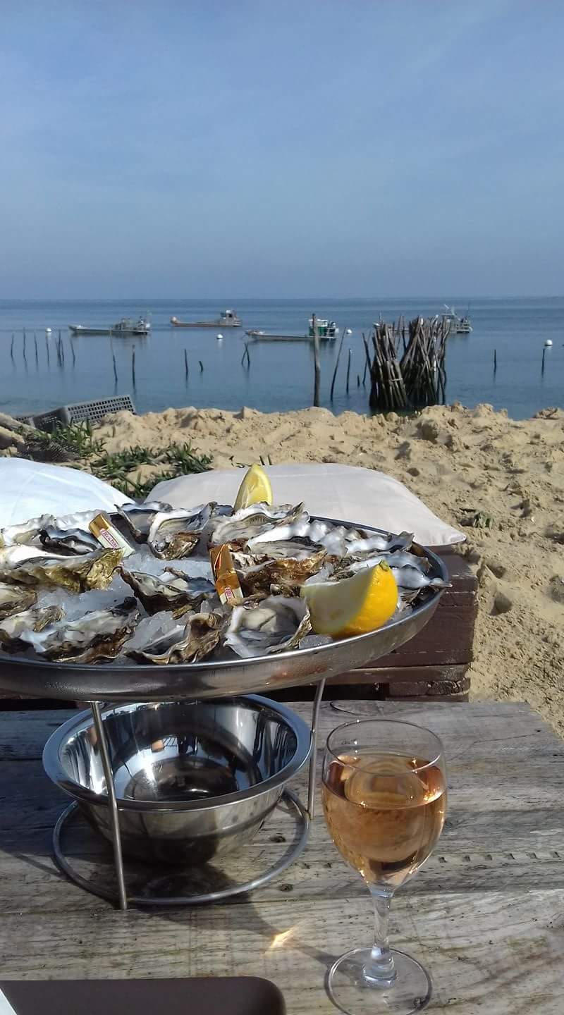 Dégustation la Conche - photo 5