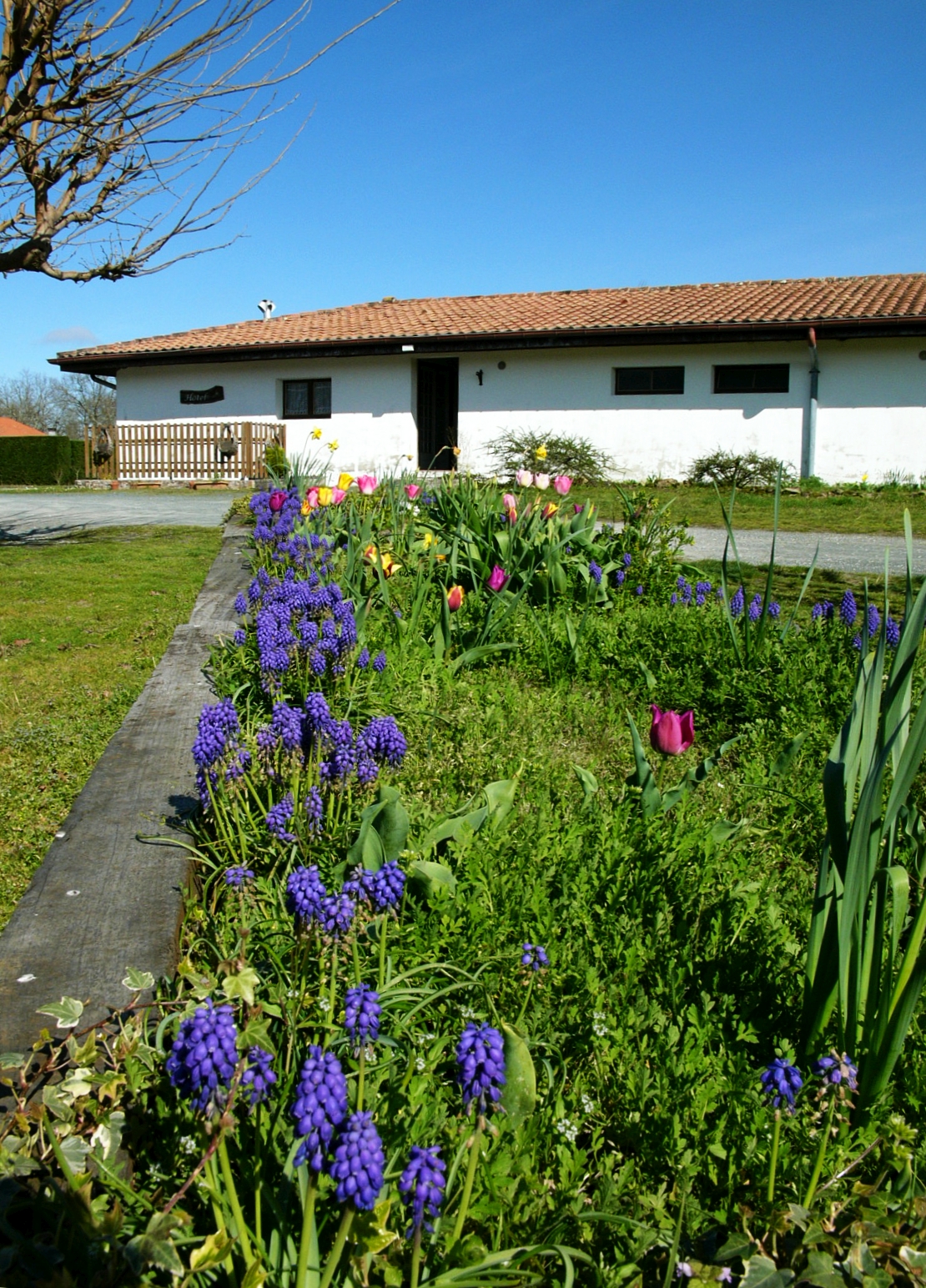 Hôtel Restaurant Dehiou, Soustons