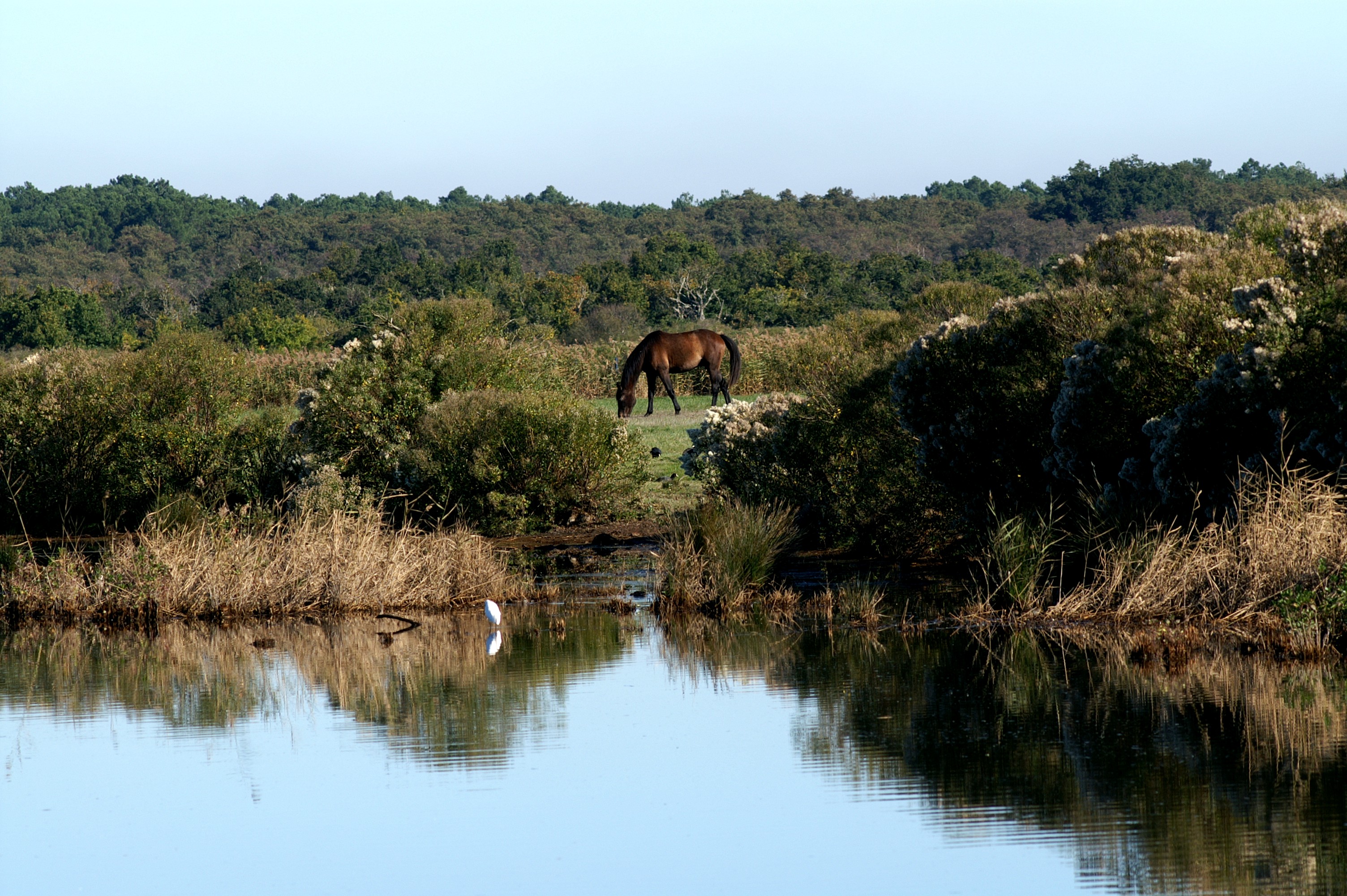 Sortie de L'Eyre vers le Delta au Teich