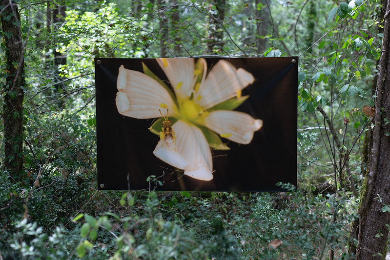 Sentier artistique et pédagogique demain la Double, Le Fieu - photo 3