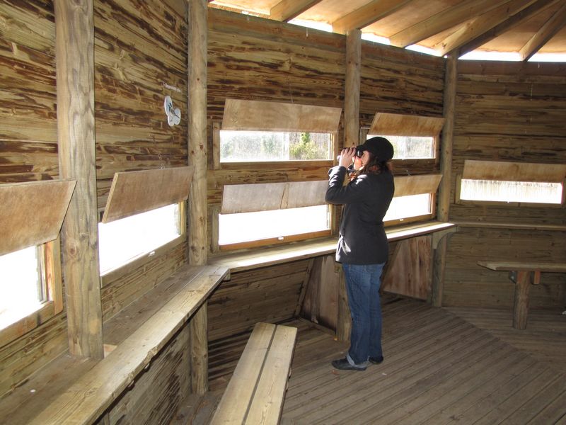 Les Etangs de la Jemaye - photo 5