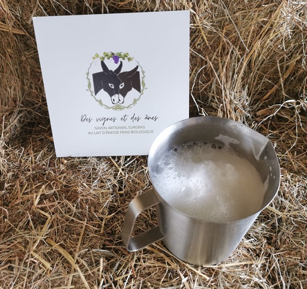 La Grange de Caubon - Des Vignes et des ânes