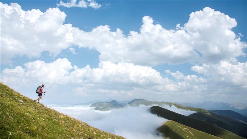 N°14 Barétous - Tête Sauvage 