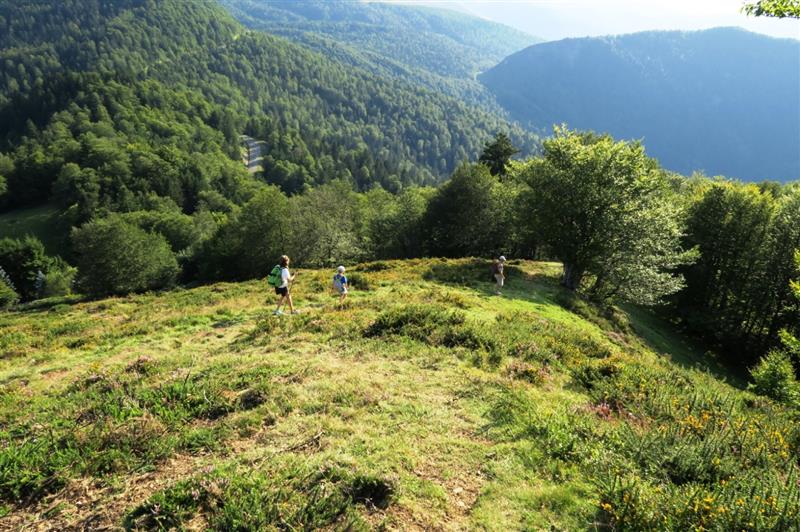 N°12 Barétous - Pic Soulaing