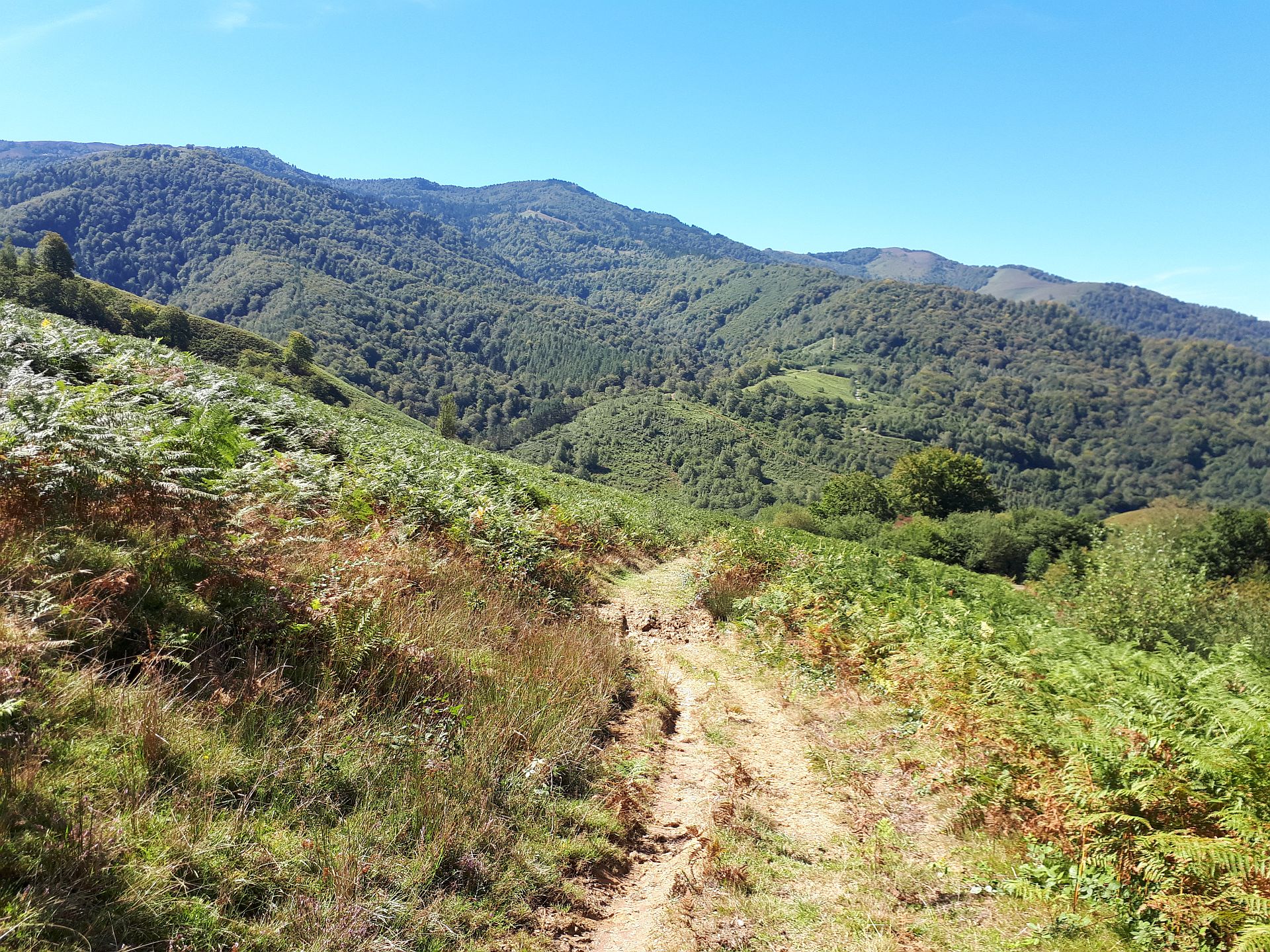 VTT N°15 - Descente d'Issarbe, Lanne-en-Barétous - photo 2