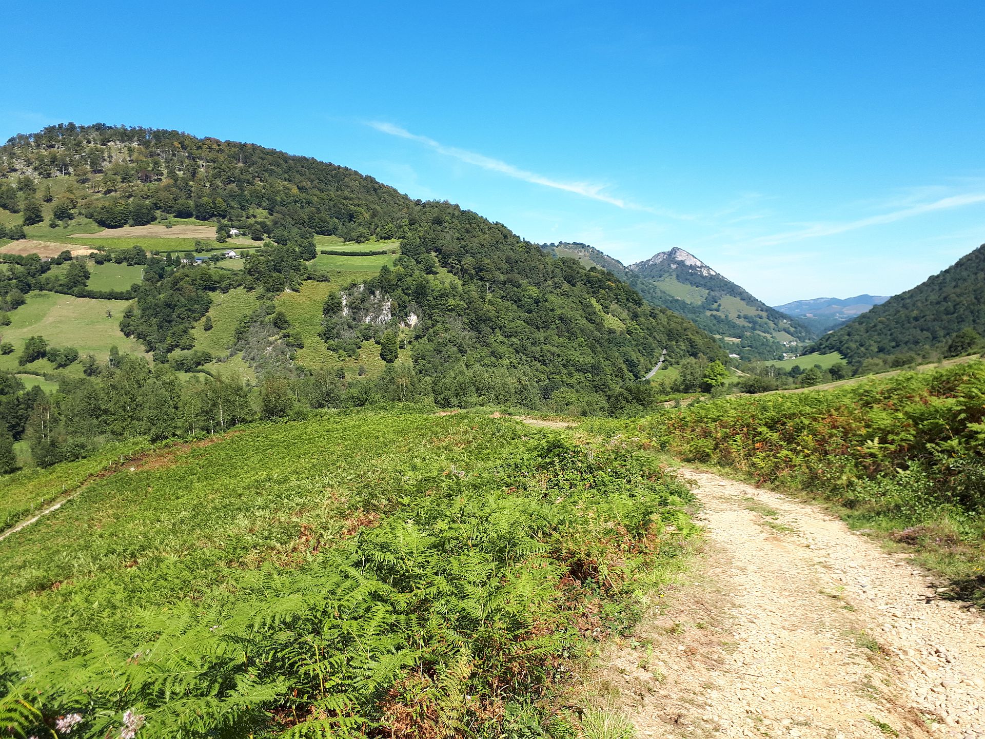 VTT N°15 - Descente d'Issarbe, Lanne-en-Barétous - photo 6