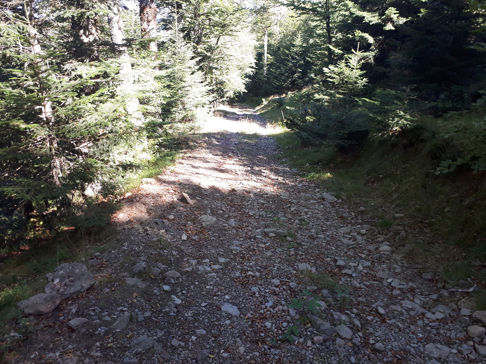 VTT N°15 - Descente d'Issarbe, Lanne-en-Barétous - photo 10