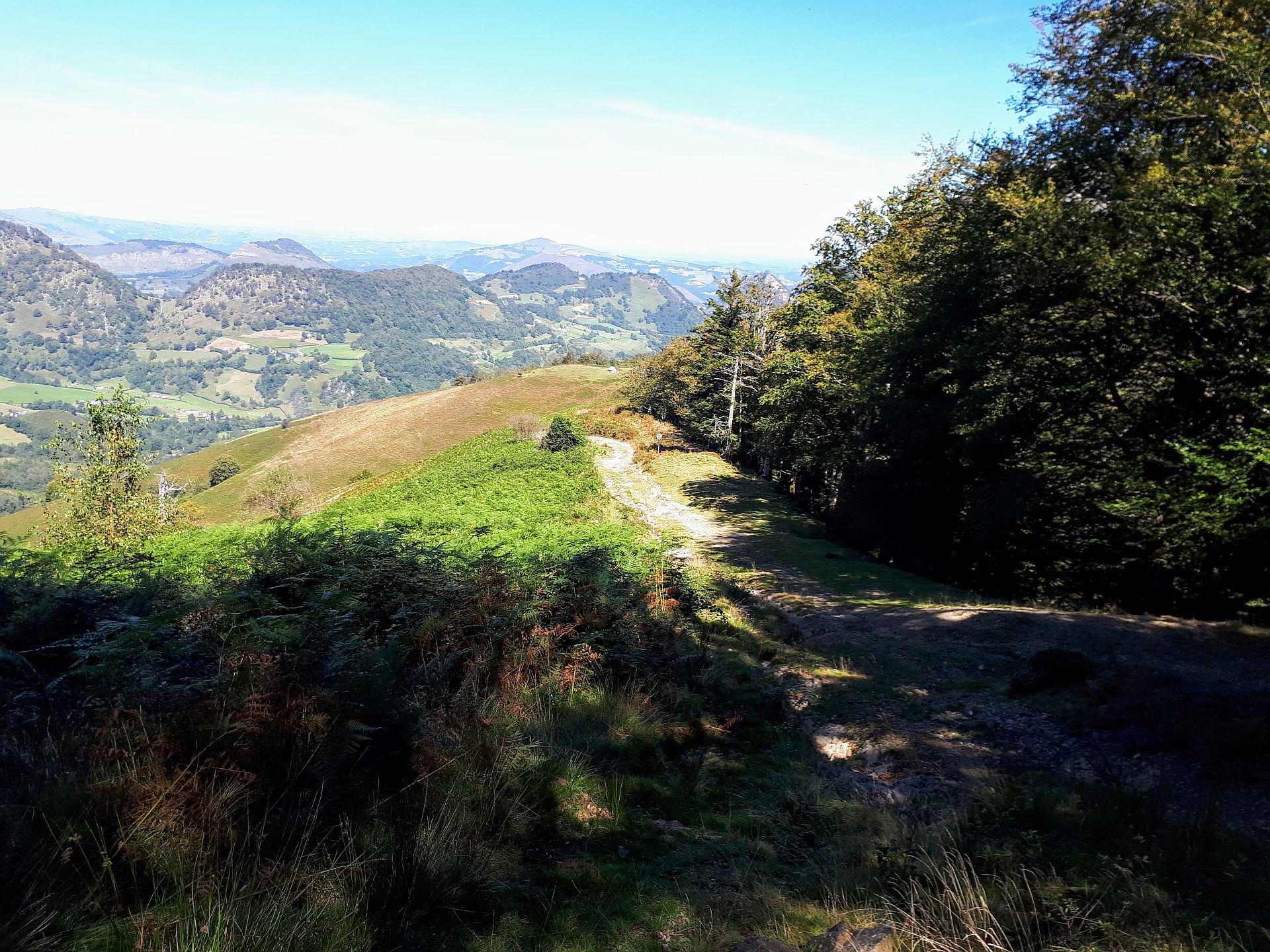 VTT N°15 - Descente d'Issarbe, Lanne-en-Barétous - photo 8