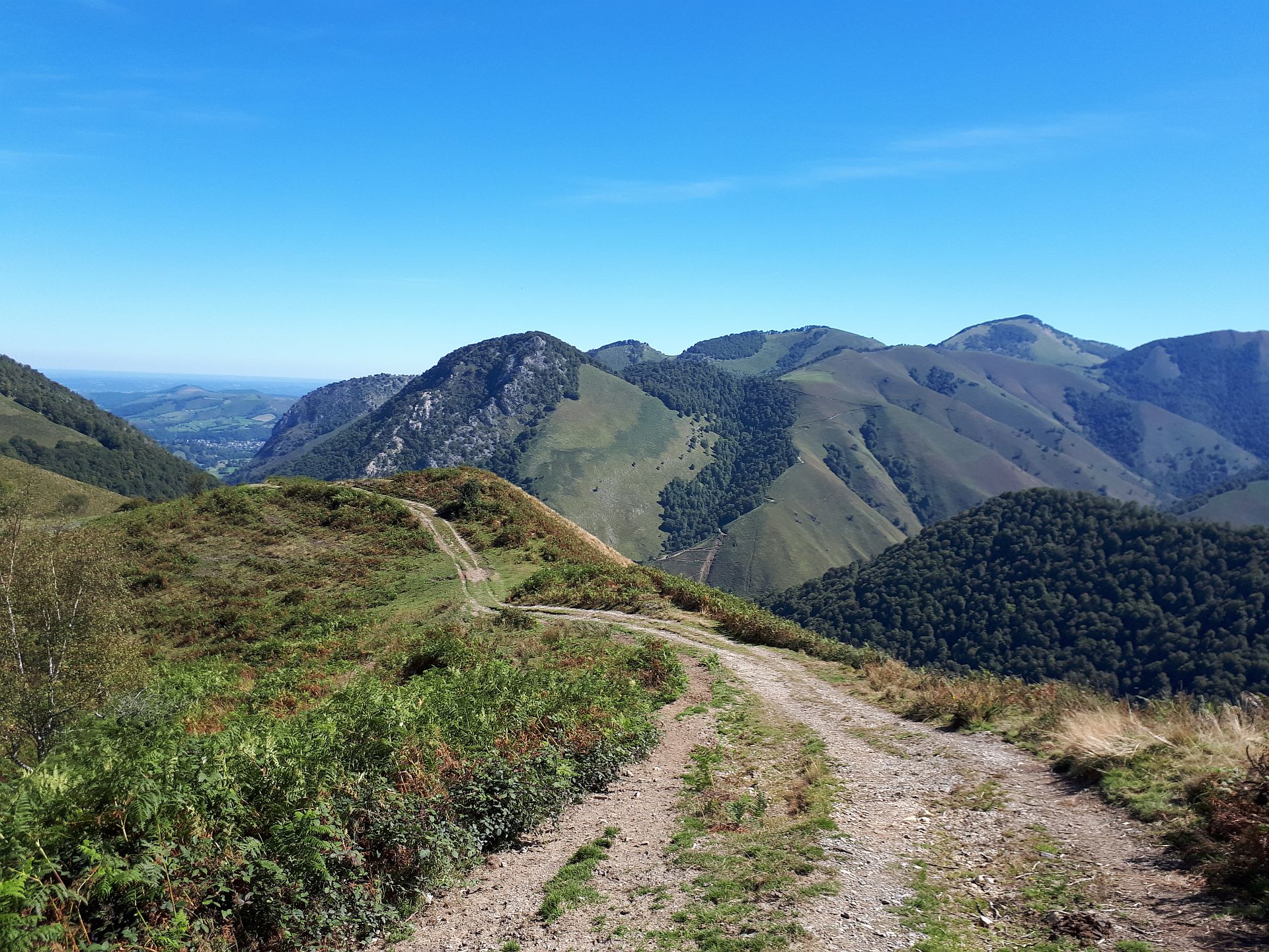 VTT N°15 - Descente d'Issarbe, Lanne-en-Barétous - photo 9