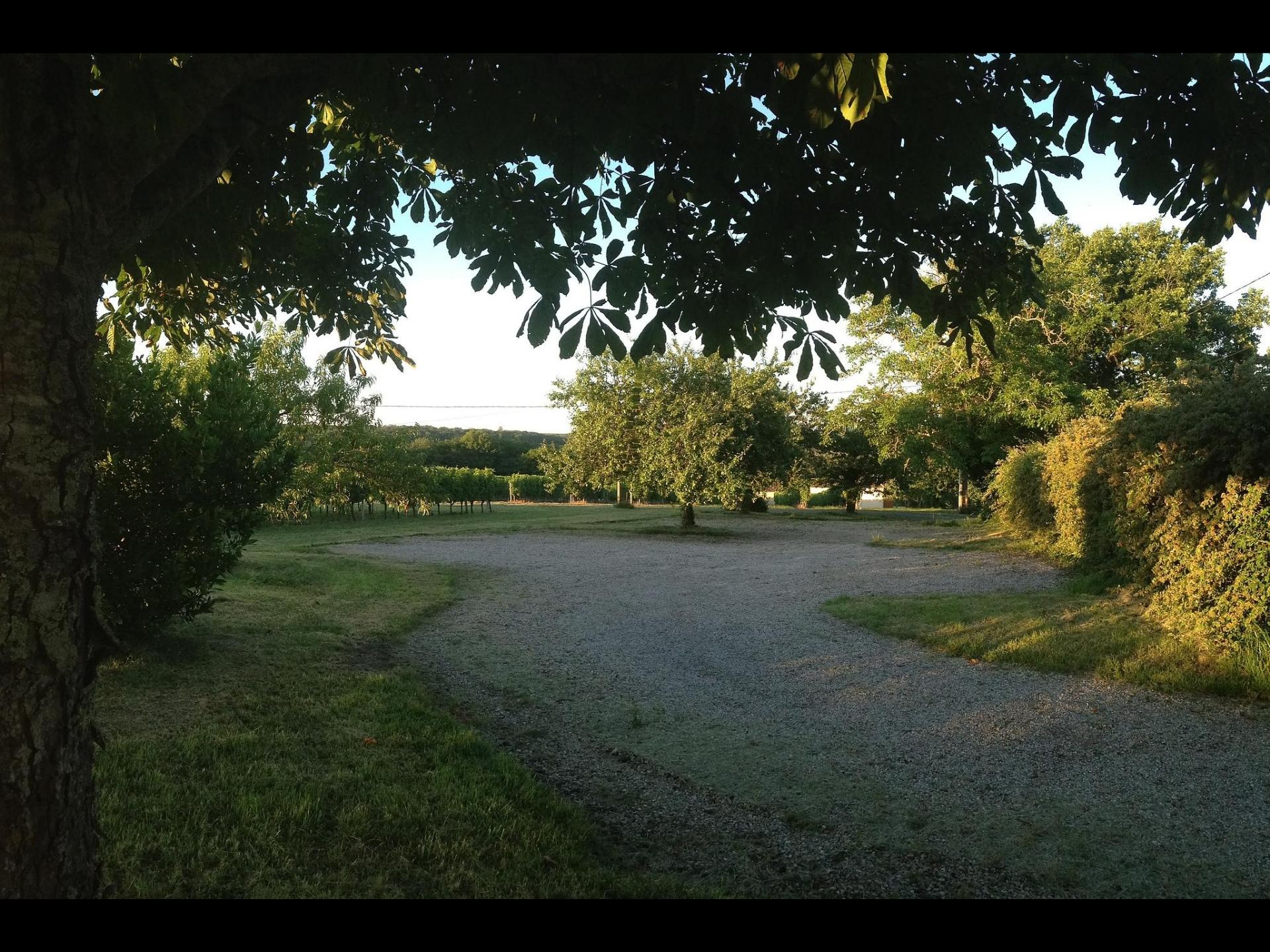 Domaine du Bel Air, Blasimon - photo 7