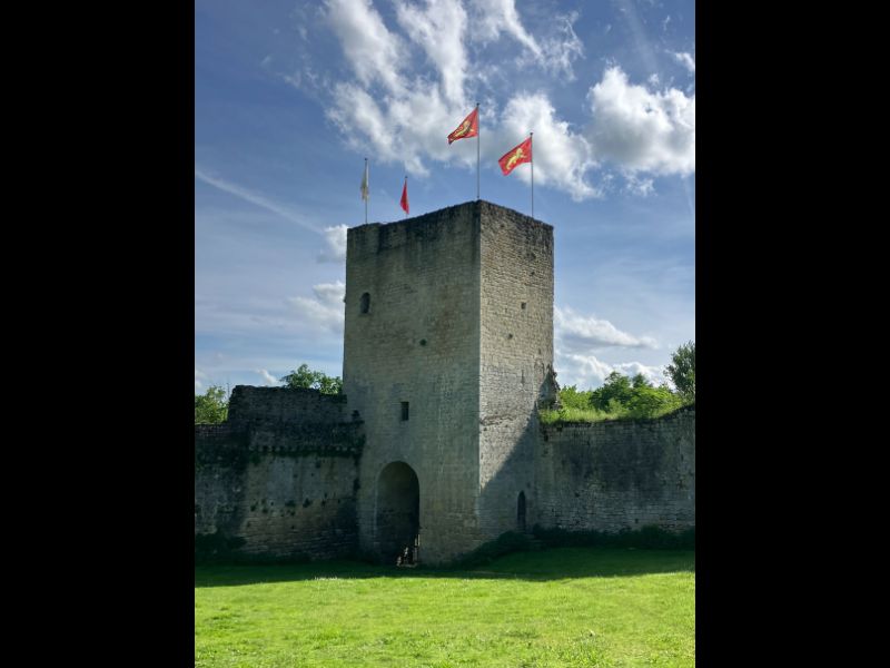 Castrum de Pommiers, Saint-Félix-de-Foncaude - photo 2