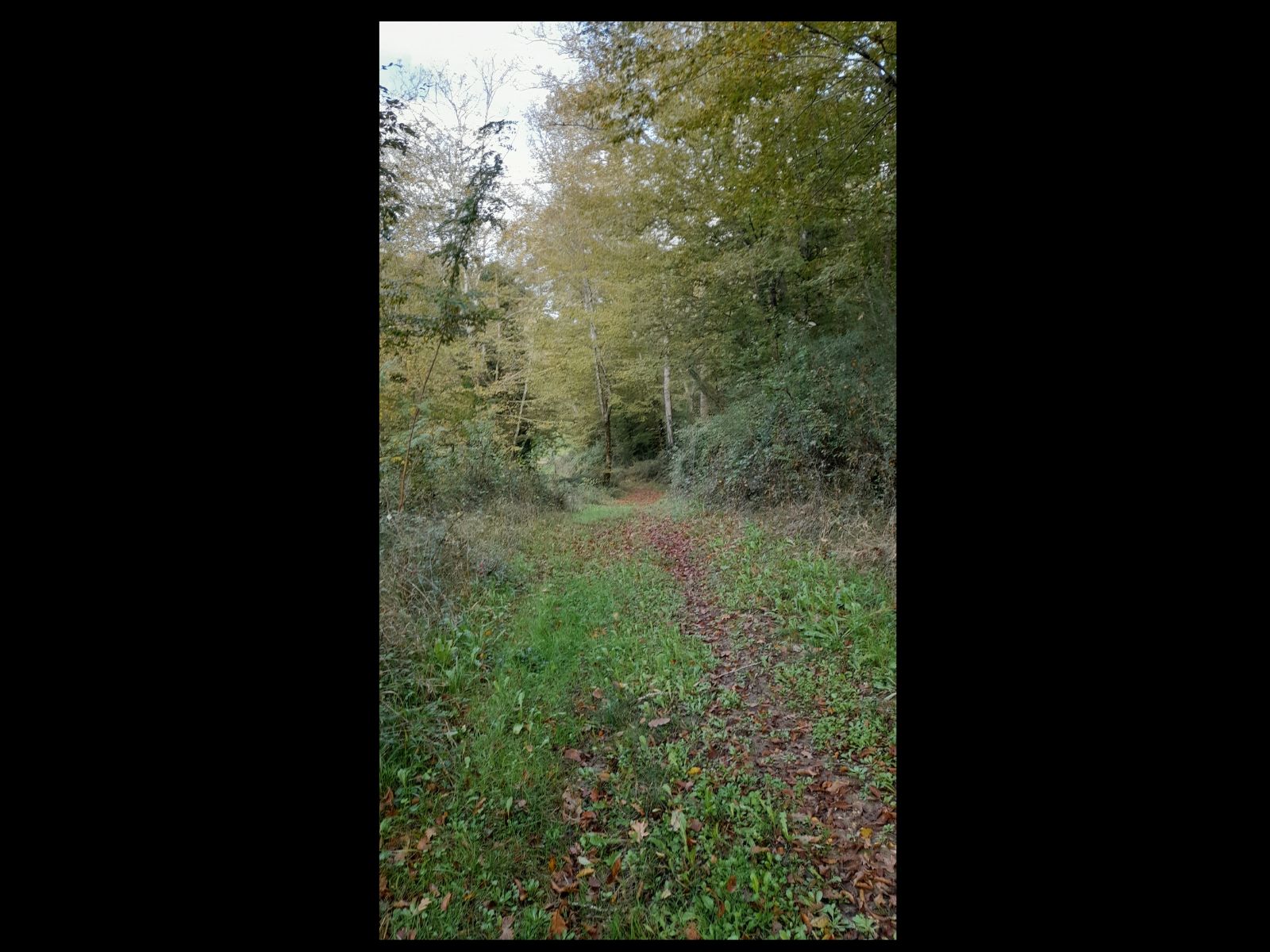 Etang de Caumont - photo 4