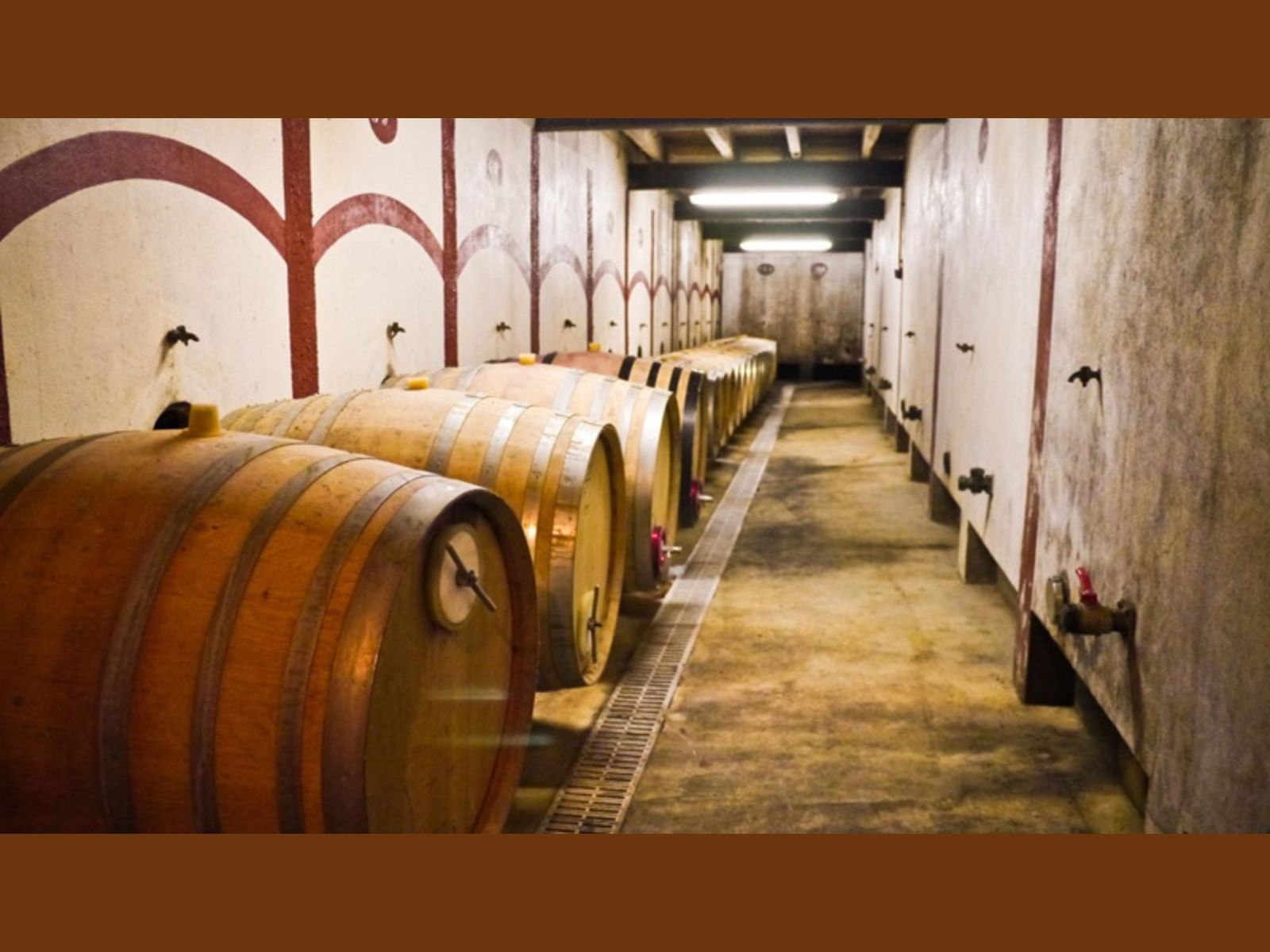 Château Terre Blanque - photo 2