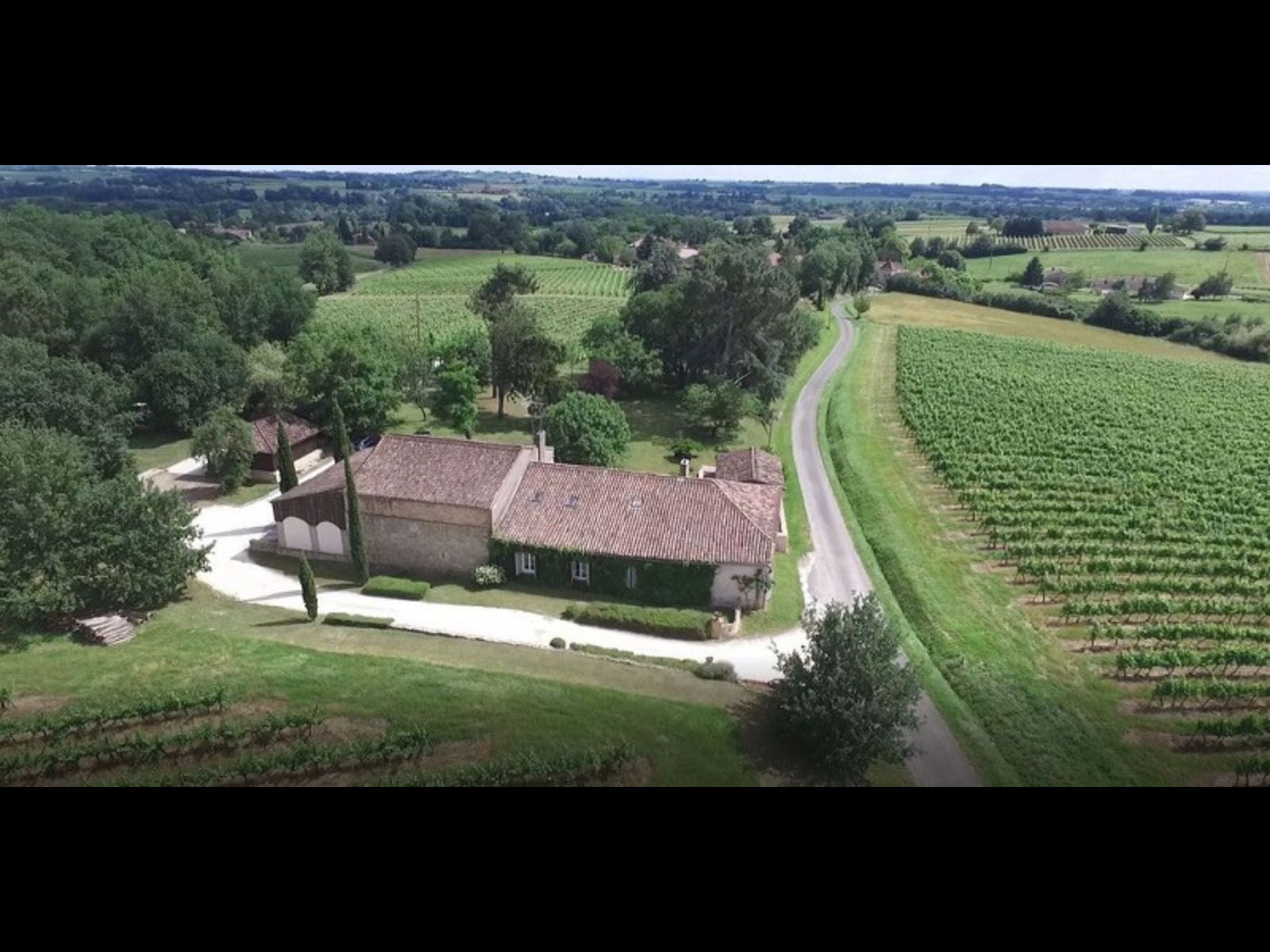 Château Haut-de-Lerm - photo 3