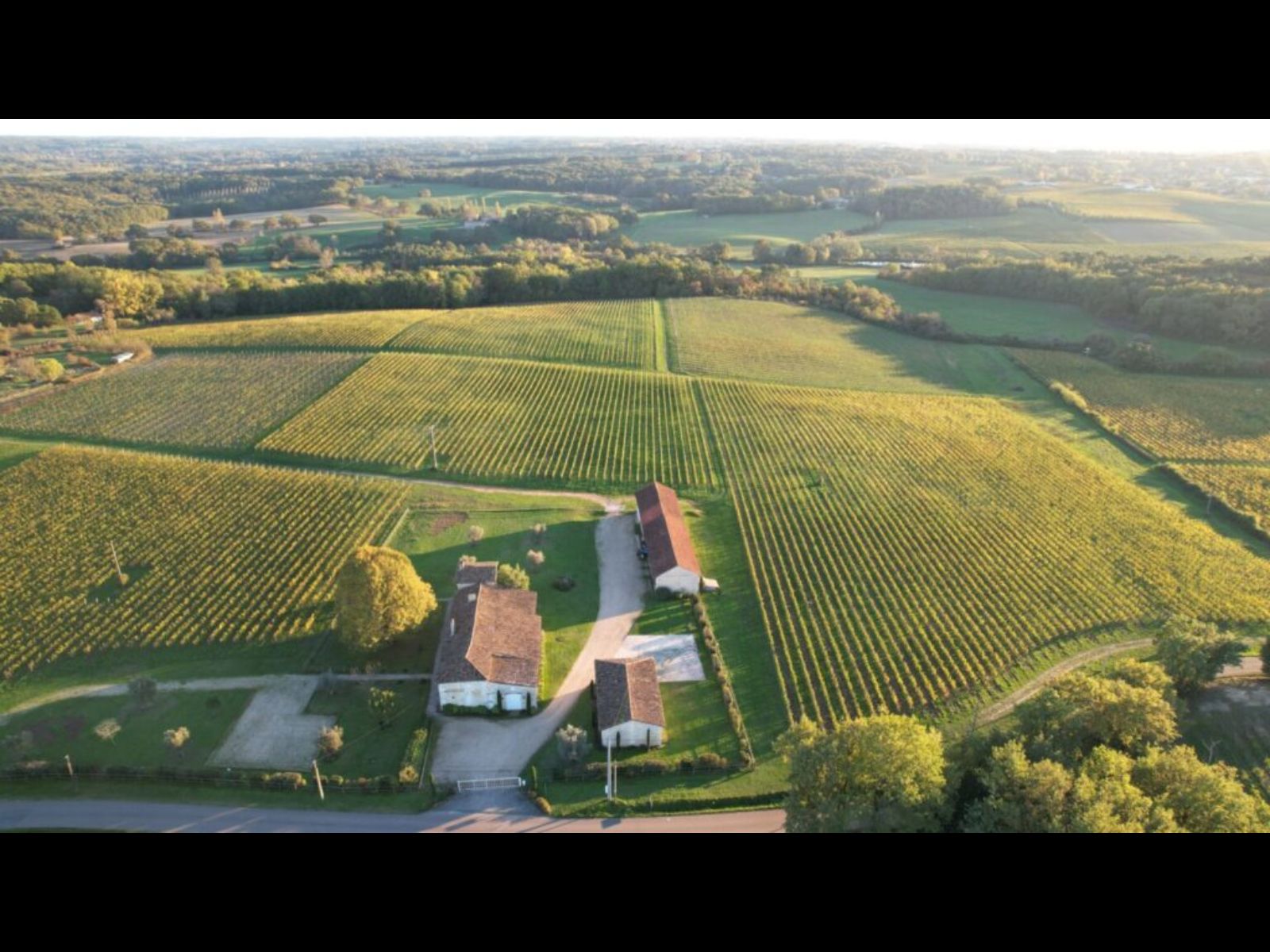 Balade équestre et dégustation au Château Lafite Monteil — photo 2
