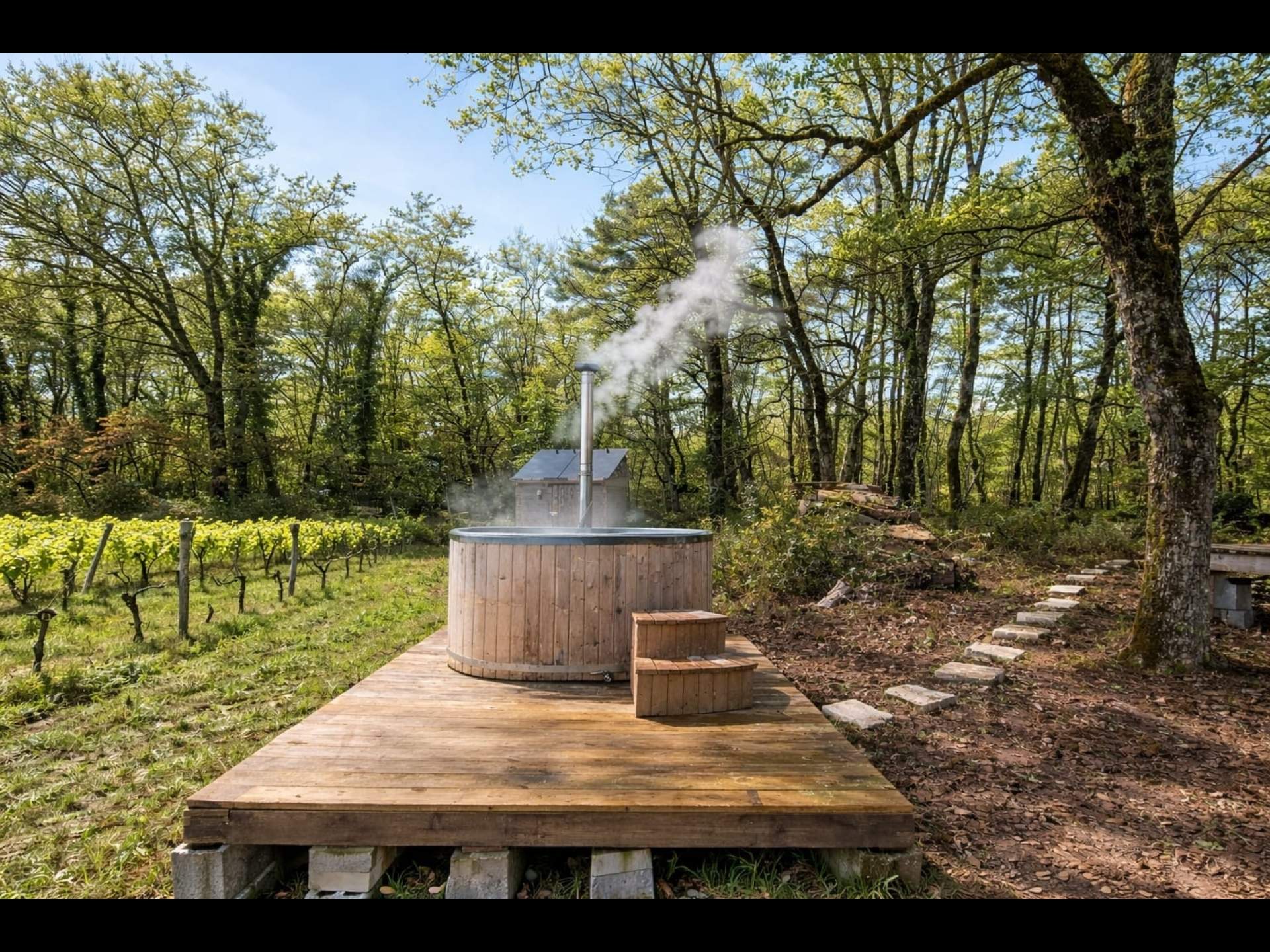 Domaine du Bédat - Dôme Le Sémillon, Blasimon - photo 3