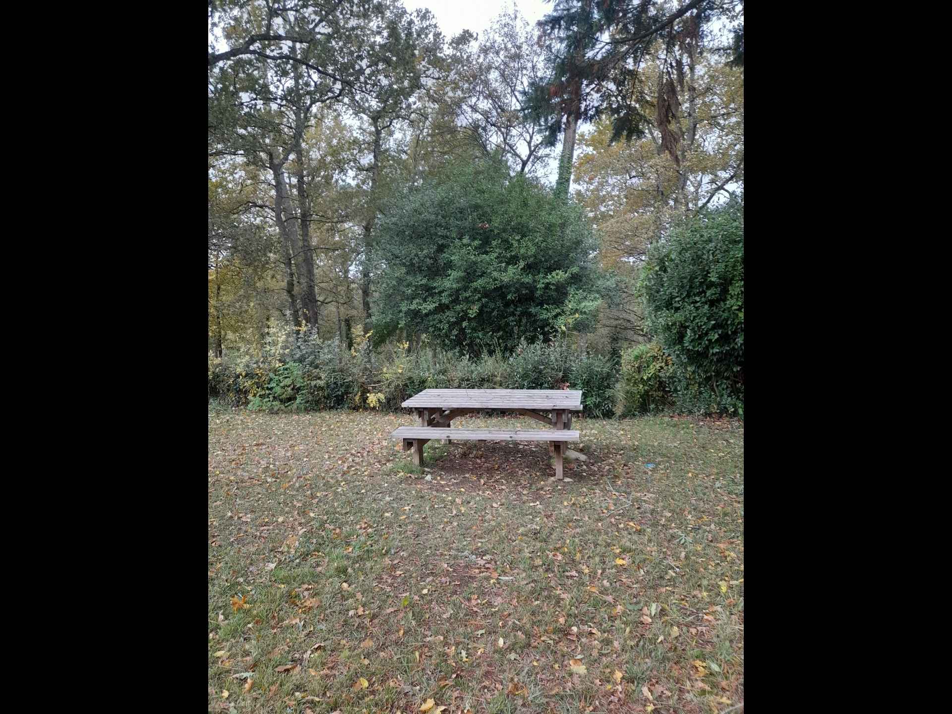 Aire de pique-nique de Sadirac - photo 2