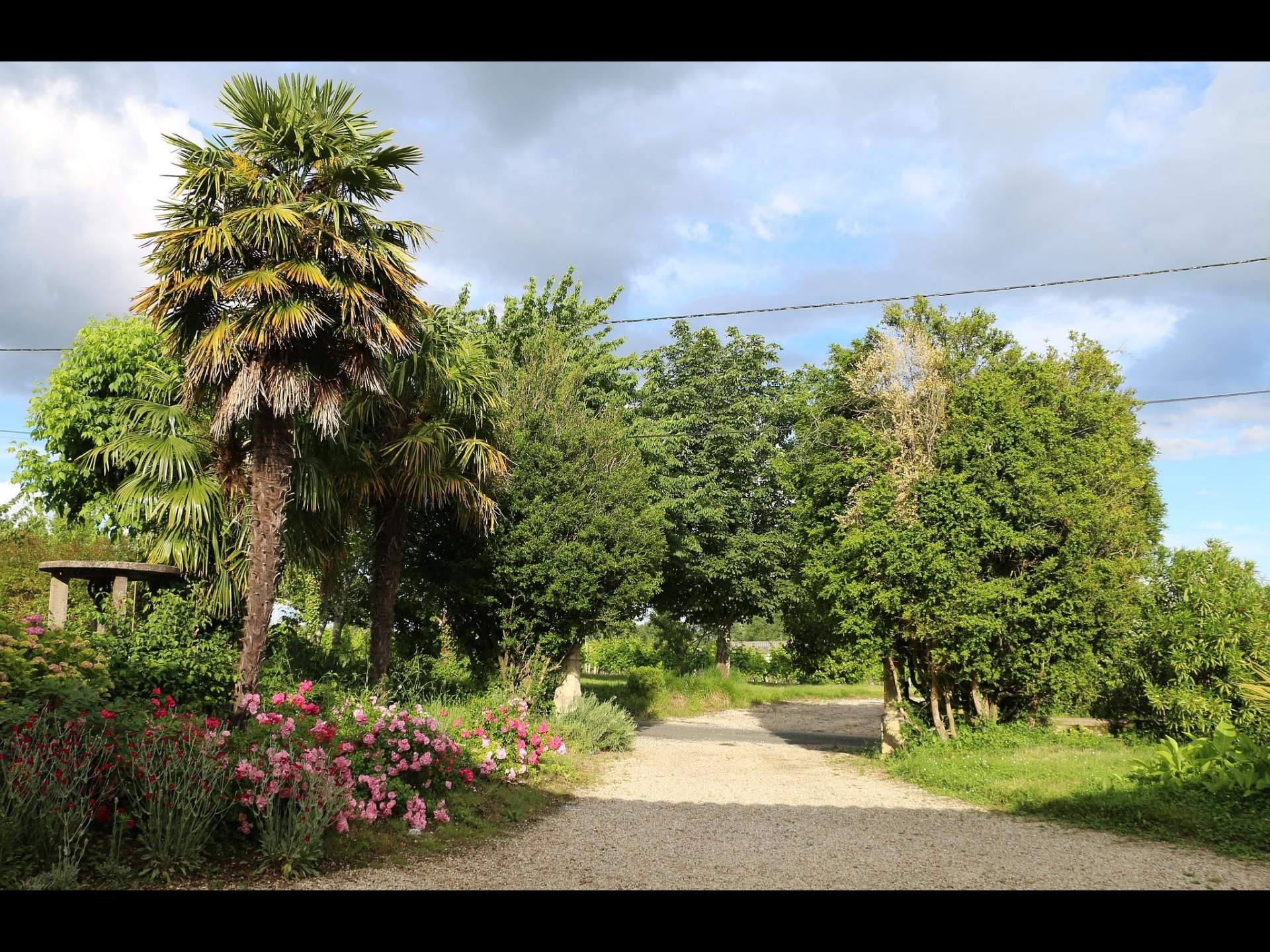 Domaine du Bel Air, Blasimon - photo 2