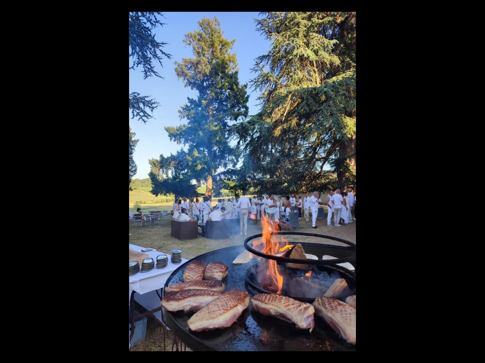 Garden party de Pey La Tour — visuel événement