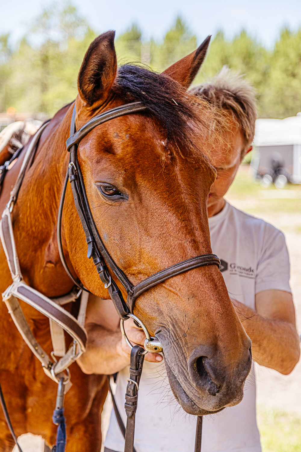 Les Ecuries du Bourdiou