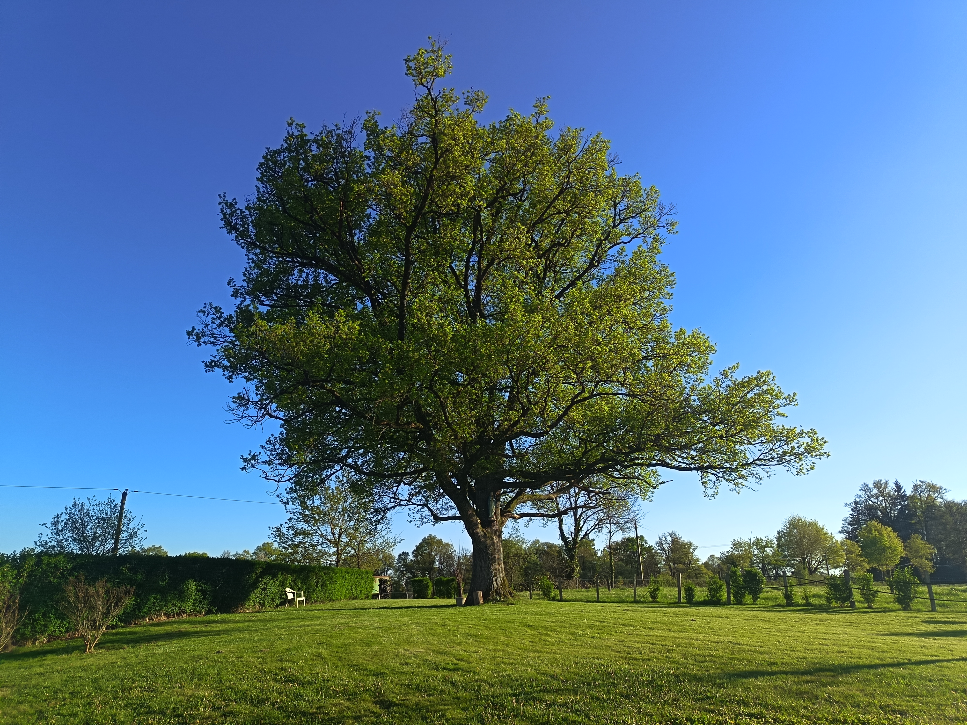 Le grand gîte, Peyrat-de-Bellac - photo 4