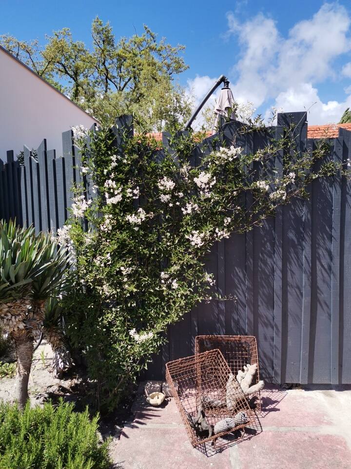 Les Cabanes de Claudine - Le Gîte Au Fil de L'O, Audenge - photo 6