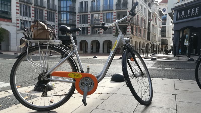 Dingovélos - photo 3