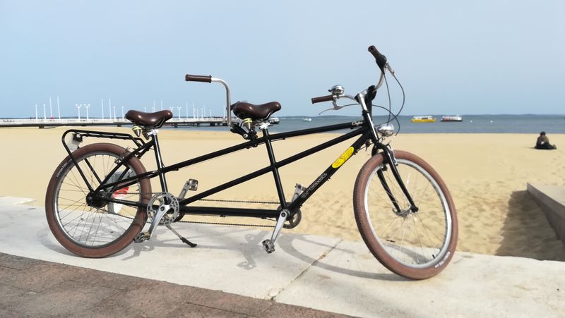 Dingovélos - photo 5