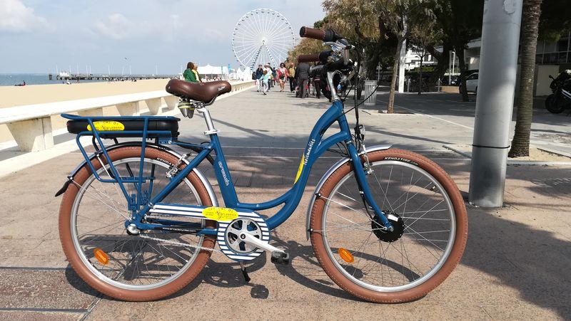 Dingovélos - photo 4