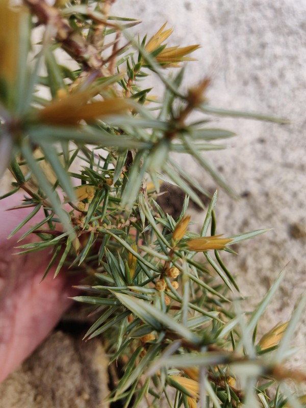 Grand Nez Spirits - photo 3